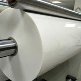 White Polyester Film